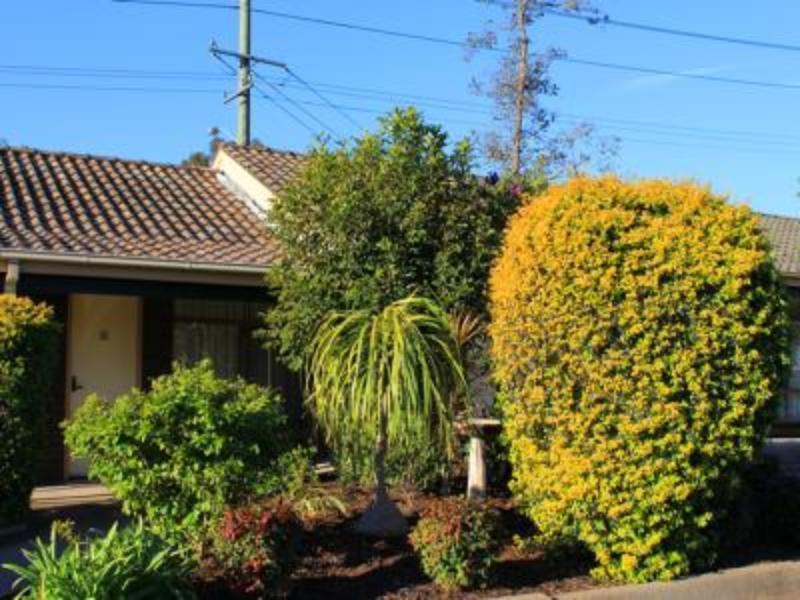 Molly Morgan Motor Inn Maitland Exterior foto